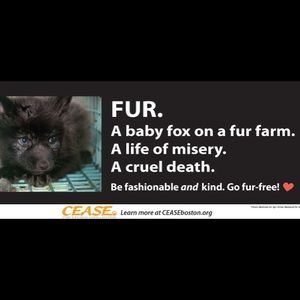 Warm people don’t need fur